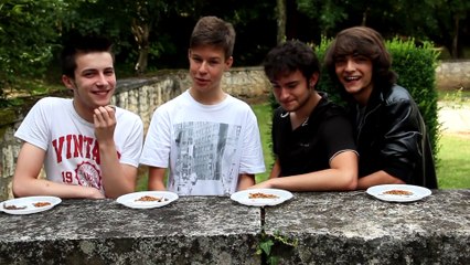 Seb la Frite - Insects Challenge