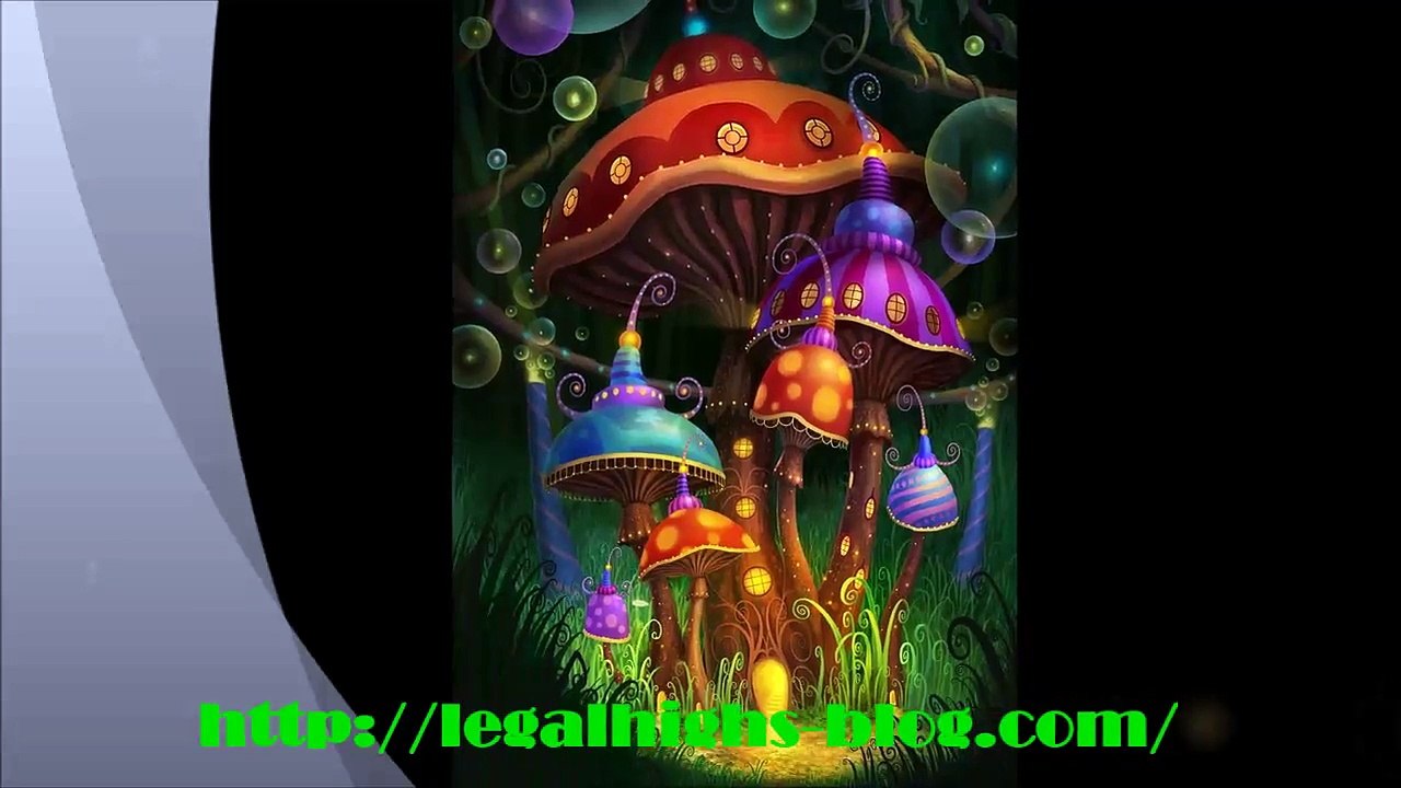 Legal Highs, Shops und Erfahrungsberichte