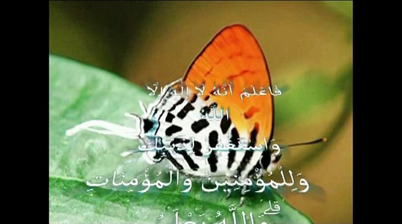 Miracle D'ALLAH le tout Puisant.  معجزات الله في خلقه سبحان الله
