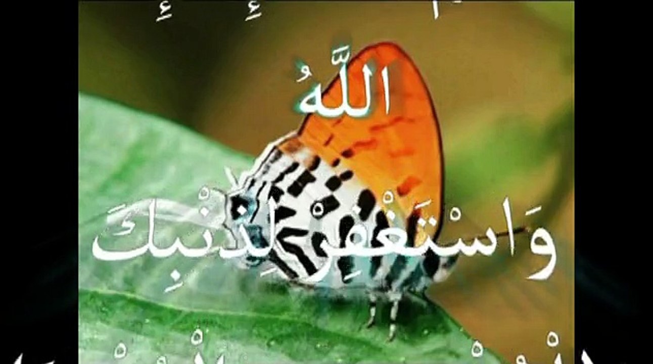 miracle d'Allah dans l'univers معجزة الله في الكون