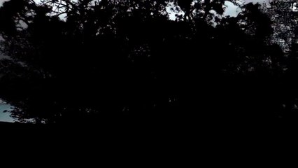 After Effects Project Files - 3D City Night Logo - VideoHive 8731637