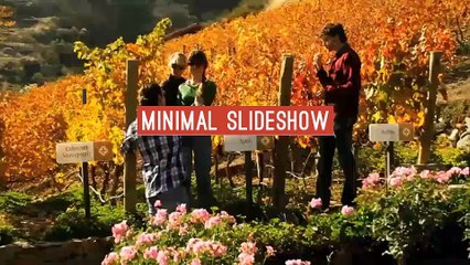 After Effects Project Files - Minimal Slideshow - VideoHive 8753732