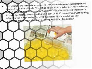 Cermin Bunga Matahari