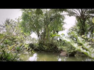 Konservasi Sempadan Situ youtube