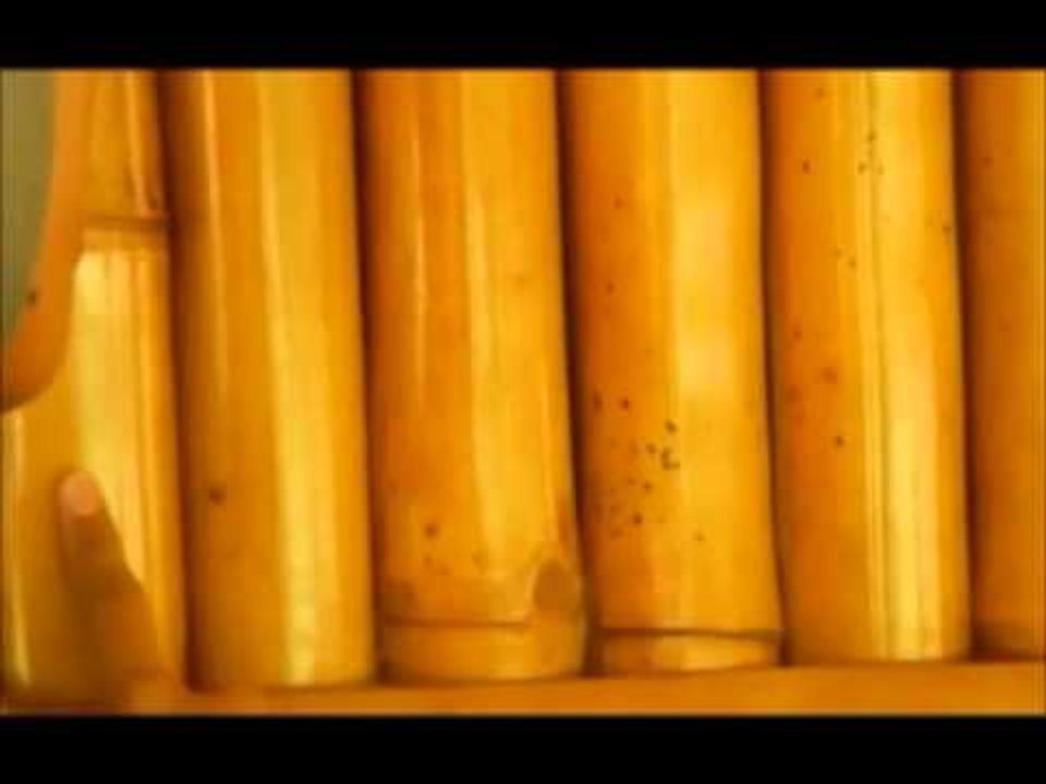 Cara Benar Mengolah Bambu