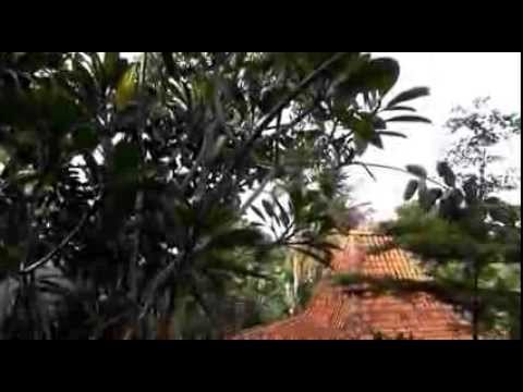 Teaser: Hutan Tropis di Tengah Kota