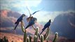 Lear's Macaw - Arara-azul-de-lear - Anodorhynchus leari