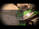 Profil Kawasaki Ninja 300 Versi Indonesia