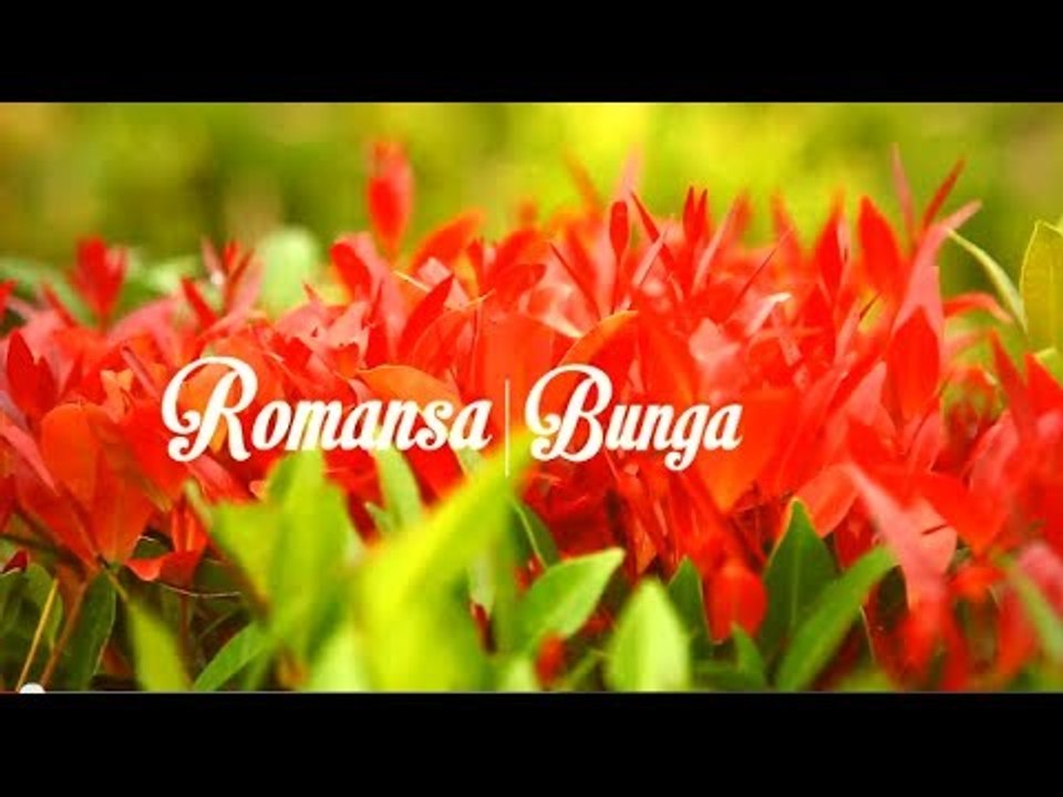 FASHION VIDEO | ROMANSA BUNGA