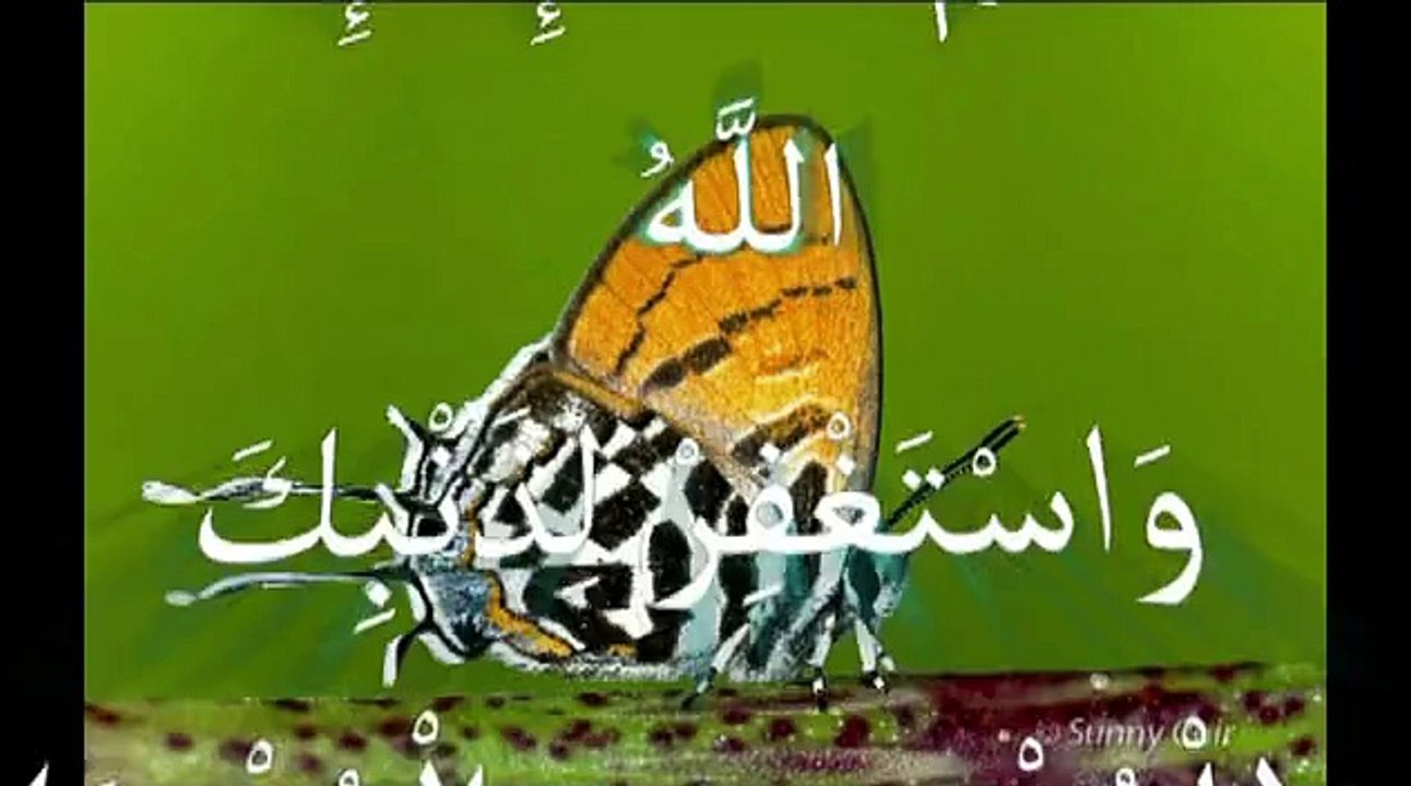 miracle d'Allah dans l'univers معجزة الله في الكون
