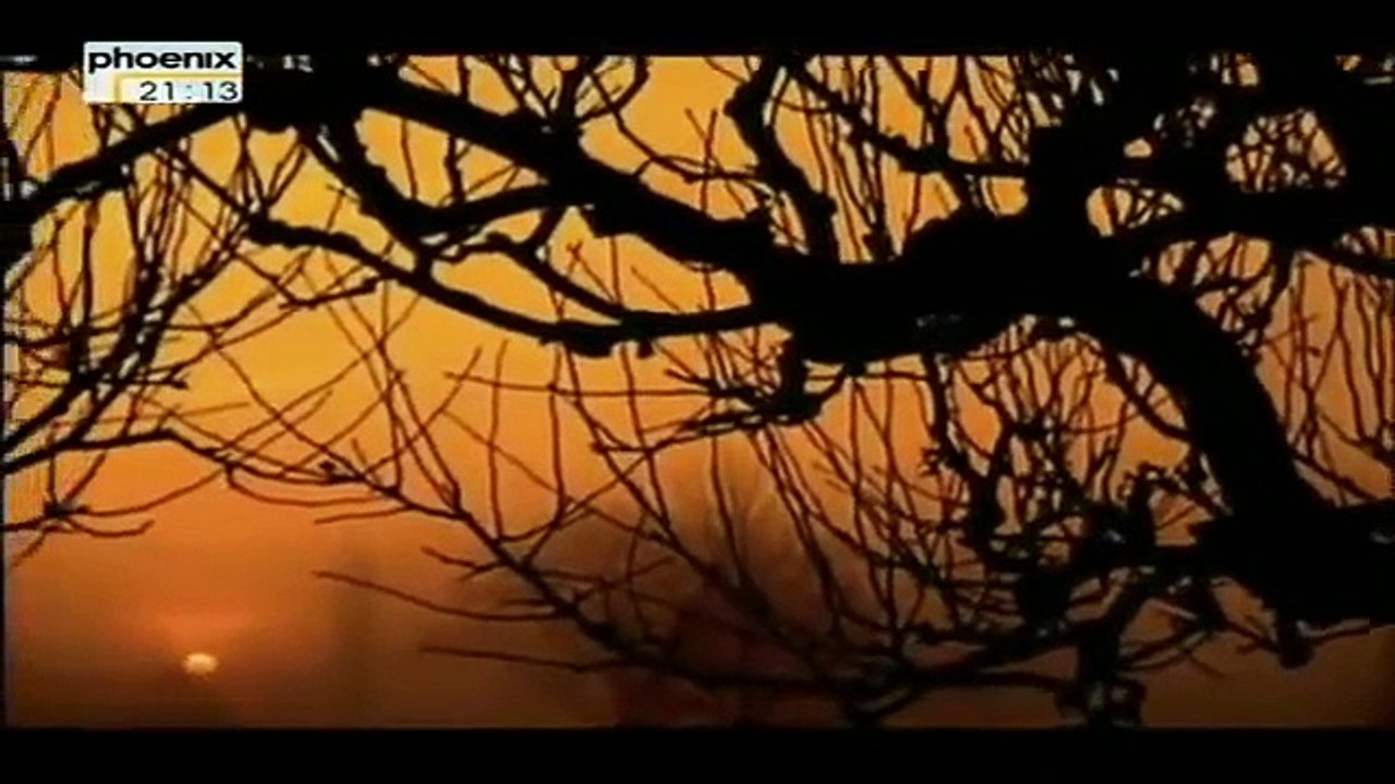 Prophezeiungen - Nostradamus