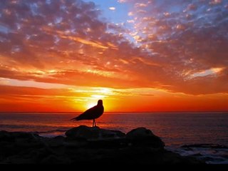 Krishna Das - Breath of the Heart - Kashi vishwanath gange