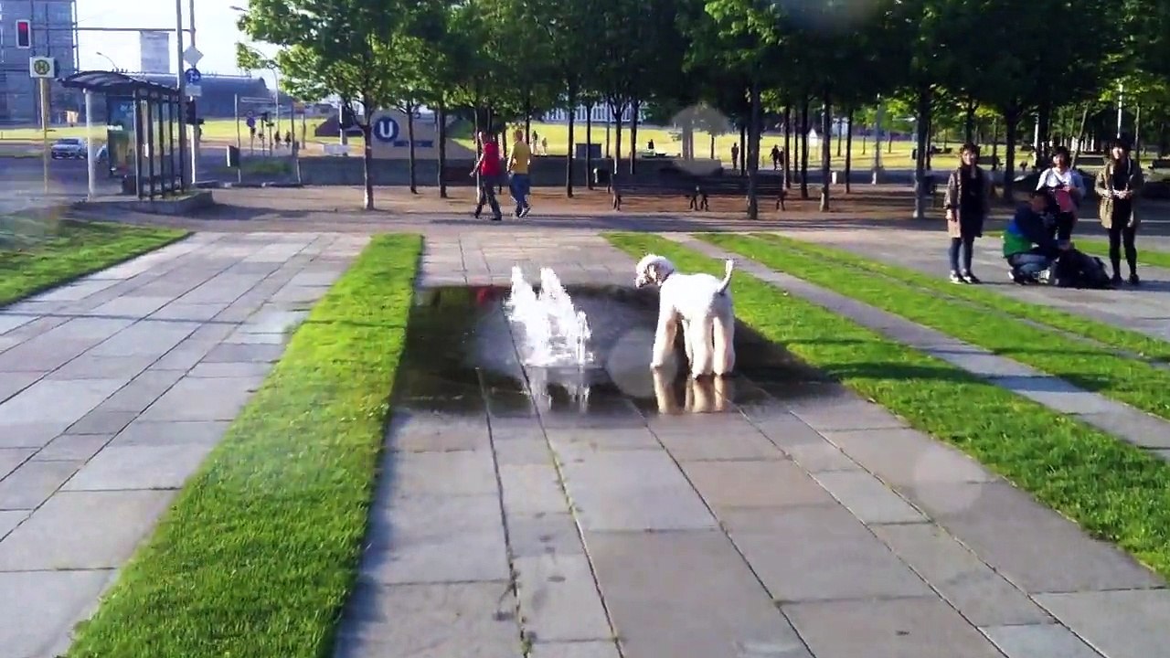 La fontaine de maman