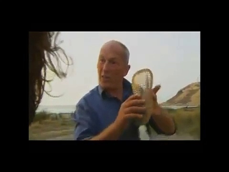 Mike Loades Bronze Age Spear Fighting
