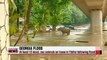 At least 12 dead, dangerous animals on loose in Georgian capital following flooding