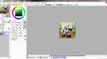 Funnypanda1235 Speedpaint (Animal Jam)