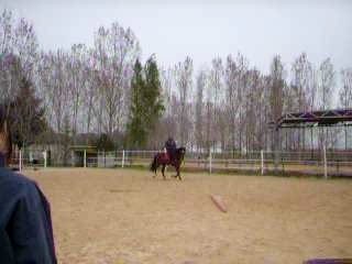 Hélios et mon moniteur en saut