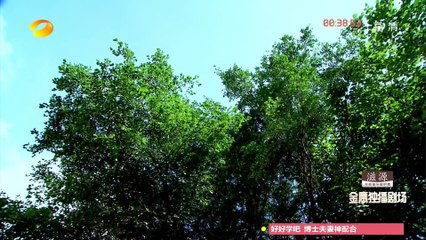 前夫求爱记 第25集 EP25  【超清1080P无删减版】