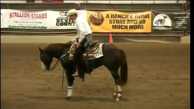 Chic This Boy Reining Horse For Sale by lomavistafarm.com