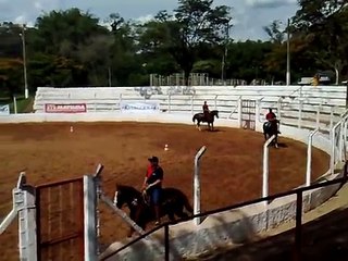 Marcha Mangalarga   Mococa, SP   14 11 2009 08 de 10