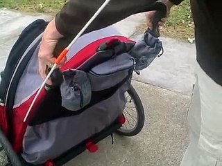 Rowdytown reviews Schwinn Joy Rider bike trailer / stroller