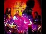 Alice in Chains~ Whale and Wasp