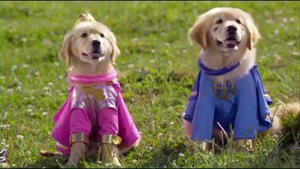 Super Buddies Full Movie HD