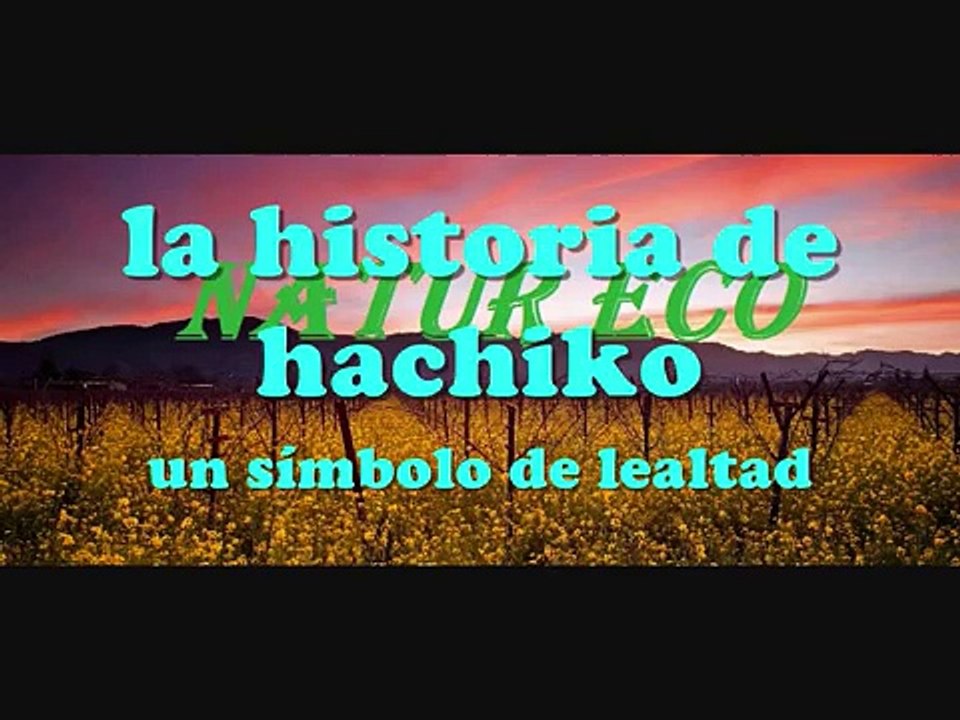 la historia de hachiko: simbolo de lealtad