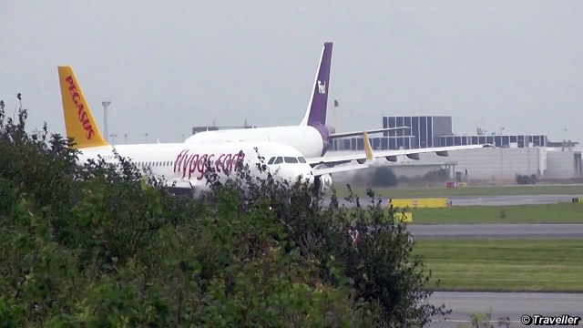 FLIGHT OF THE PEGASUS - Pegasus Airlines Airbus A320 & Boeing 737 takeoff & landing TC-DCB TC-AEP