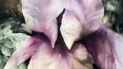 Henry Purcell - The Fatal Hour Comes On Apace - Z421