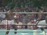 Fights boxing - mike tyson