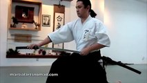 Iaido - Katana sword demonstration