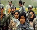 Die Kurden - Ein Volk, das es nicht geben darf (1983)