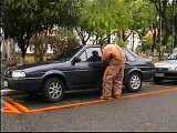 cão de policia em conjunçao com canil emanuel