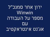 Winwin אג'נט קידום אתרים - סיפור הצלחה  -  קידום אתר