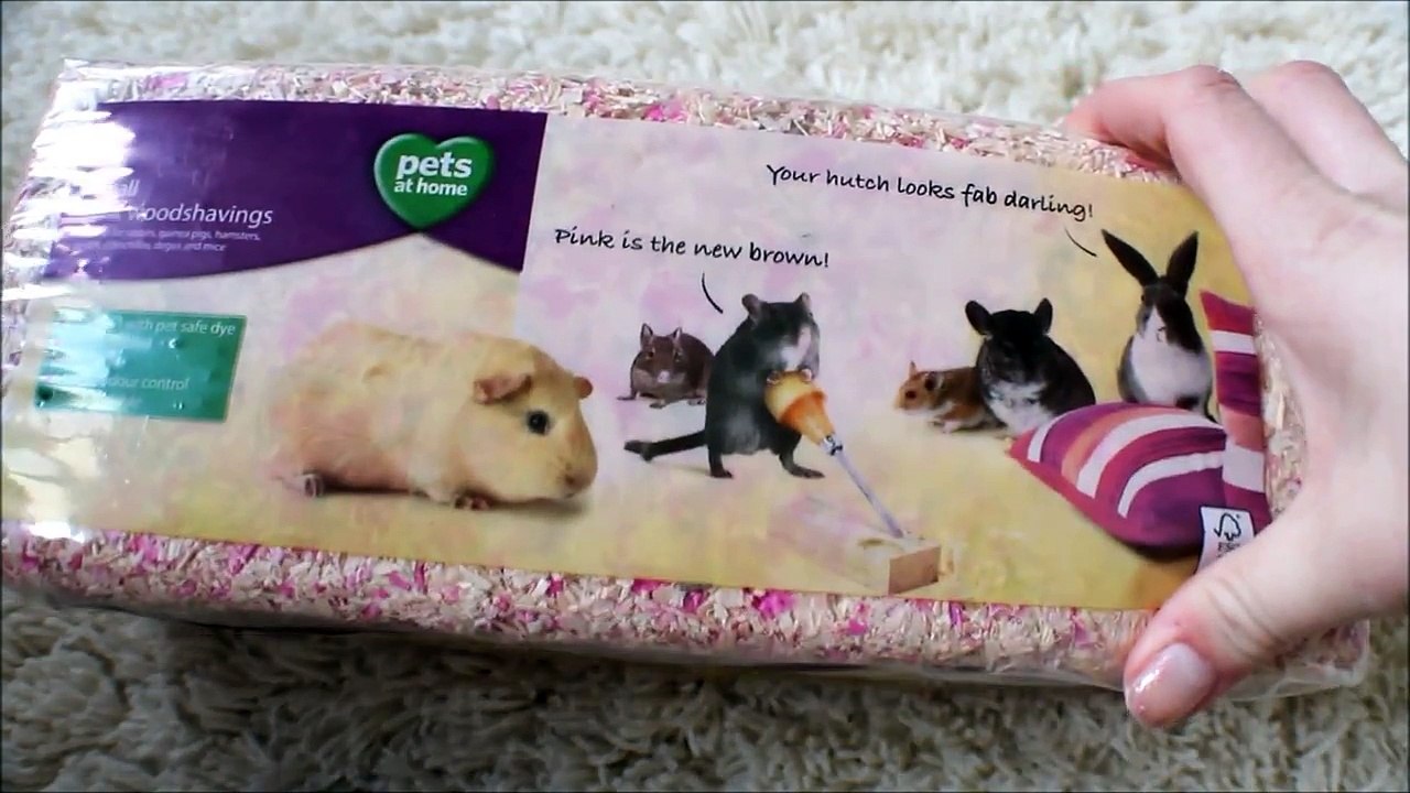 Pet Haul *November 2013*