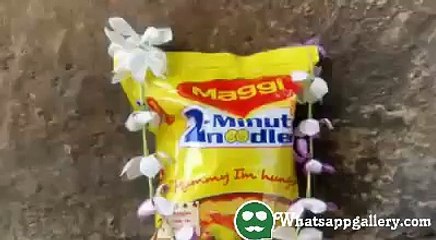 whatsapp funny spoof videos fans crazy reaction after Maggie ban in india