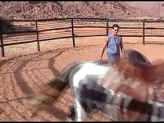 Wildpferde zähmen in Namibia - natural horsemanship