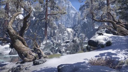 The Elder Scrolls Online : Tamriel Unlimited - Trailer E3 2015