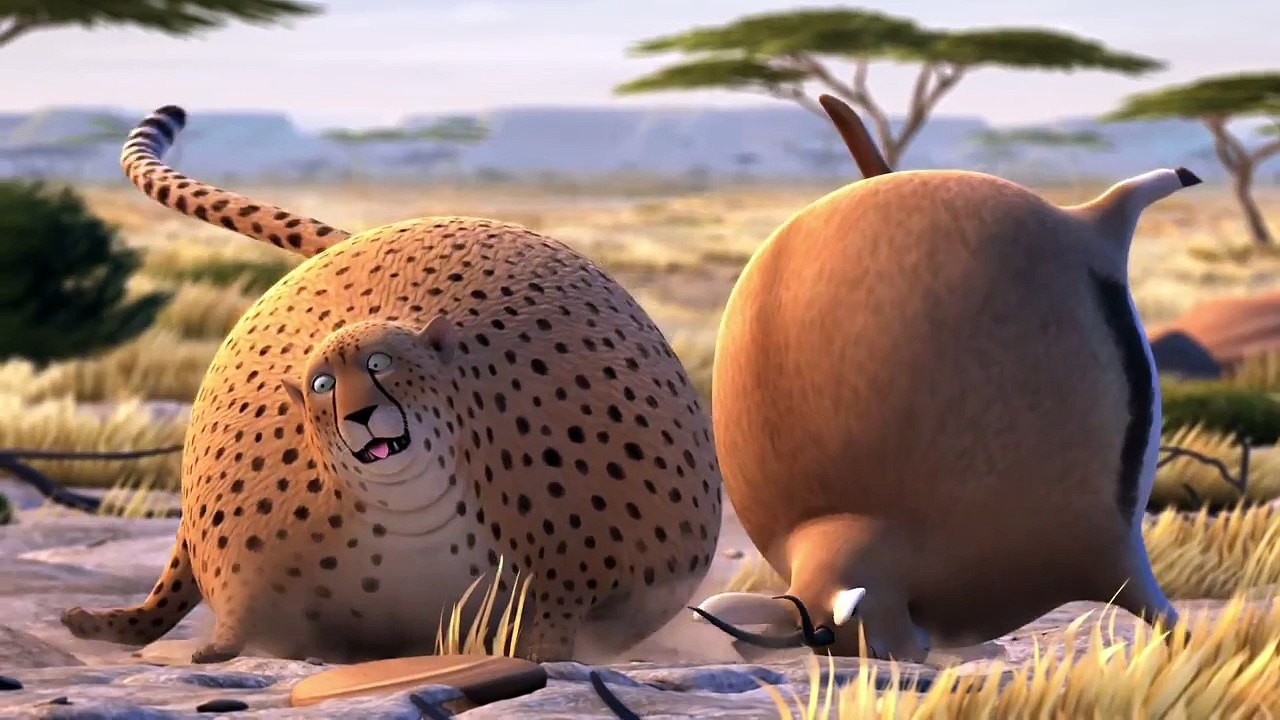 Funny Cartoon video 2015 Hd - what if animals were round?