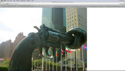 UN To Force US Gun Confiscation. 1776