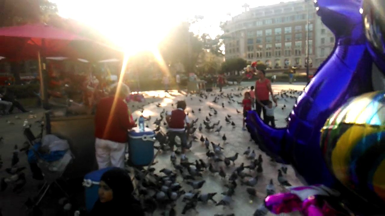 Boy catch bird in Barcelona