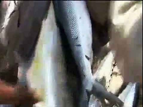 Piratas keniatas defiende zona marítima para pescadores locales