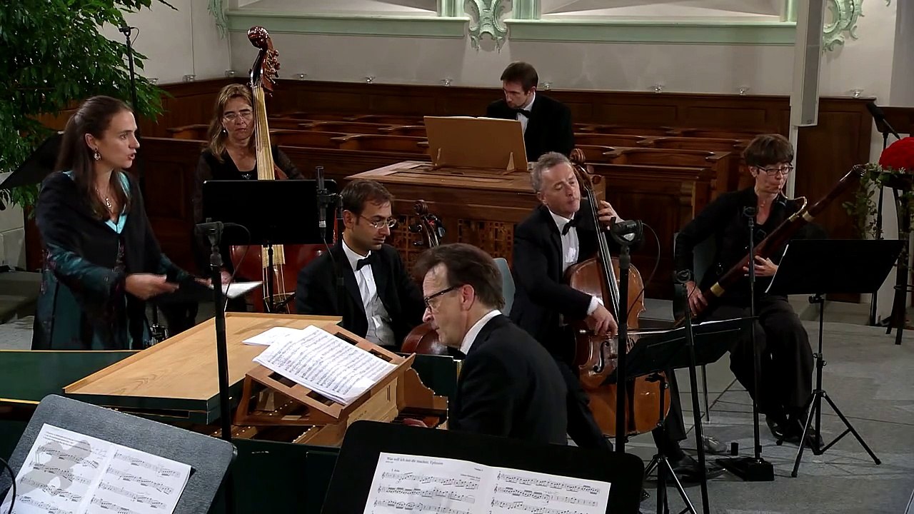 J.S. Bach - Cantata BWV 89 - Was soll ich aus dir machen, Ephraim - Aria (J. S. Bach Foundation)