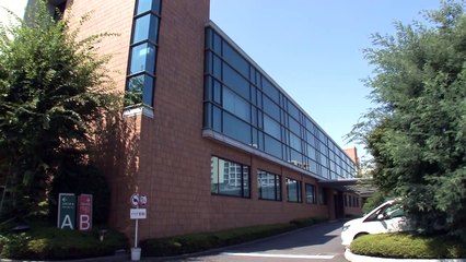 本田翼出演「とらばーゆ」新CMメイキング映像