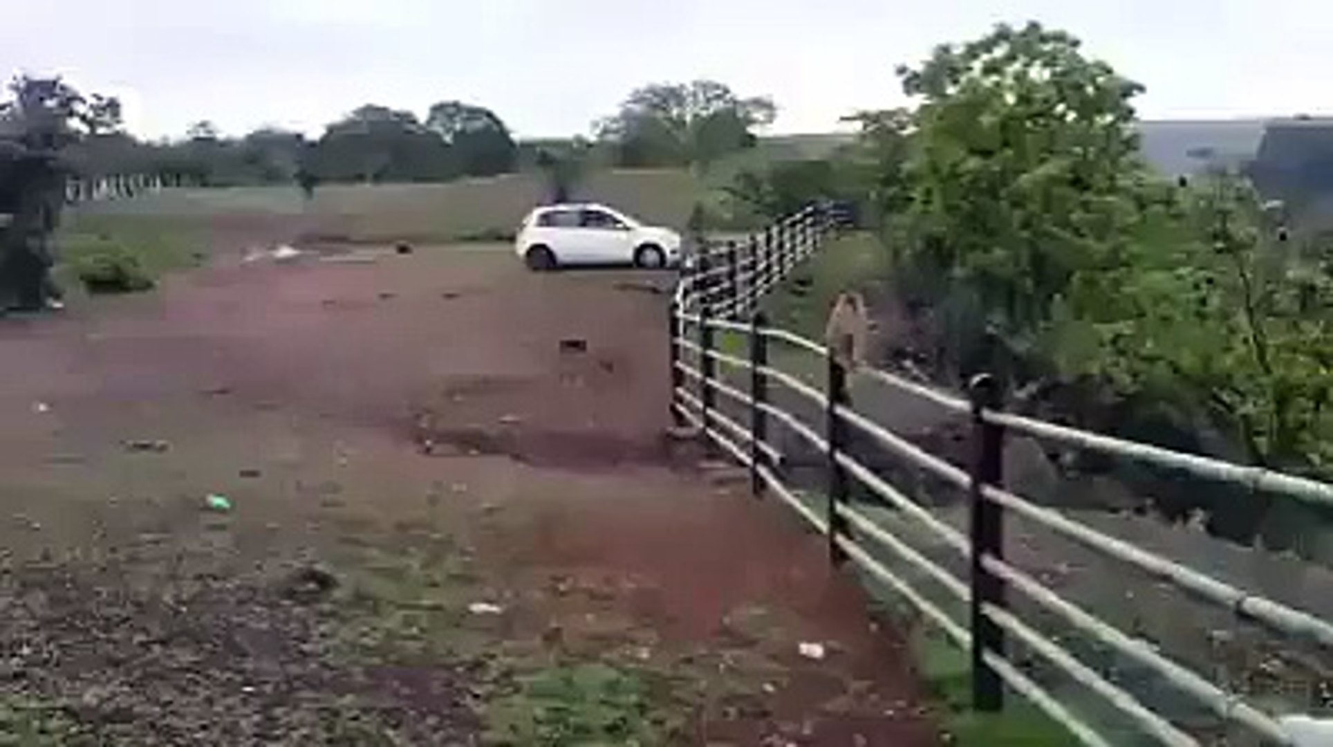 ⁣Monkey prank, animal abuse, pakistani funny videos, funny cats,funny monkey, funny pets, funny dogs