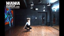 WAWA DANCE ACADEMY PSY GENTLEMAN DANCE STEP MIRRORED MODE