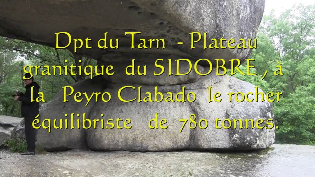 Jardins de l'évêché à CASTRES , les blocs de granit du sidobre