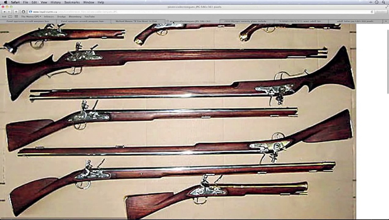 ASSAULT WEAPONS BAN APPROVED!