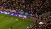 La roulade de Zlatan Ibrahimovic (Suède-Monténégro)